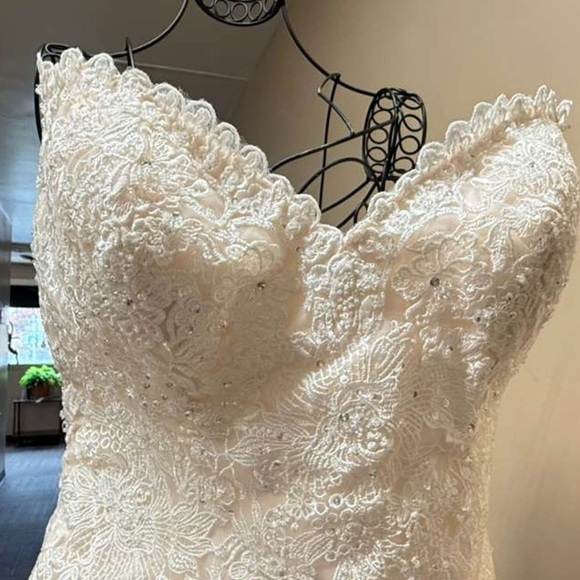 Maggie Sottero Ivory Bridal Gown - Picture 17 of 17